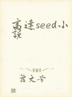 高达seed小说