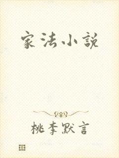 家法小说