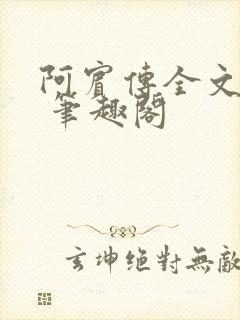 阿宾传全文阅读 笔趣阁