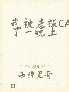 我被老板CAO了一晚上