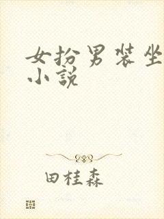 女扮男装坐江山小说