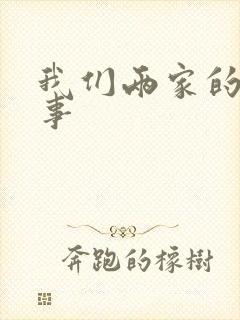 我们两家的荒唐事