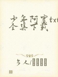 少年阿宾txt全集下载