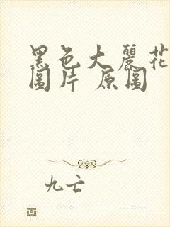 黑色大丽花真实图片 原图