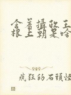 含着摄政王的紫根上朝是啥小说