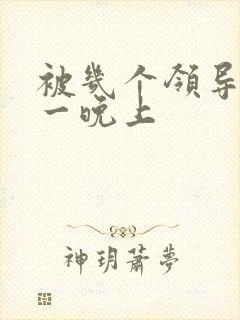 被几个领导玩弄一晚上