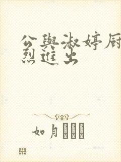 公与淑婷厨房猛烈进出