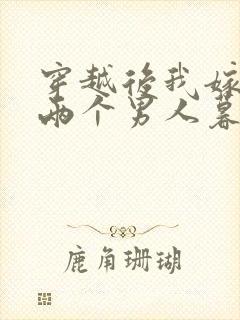 穿越后我嫁给了两个男人暮色酒歌