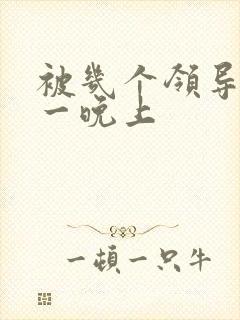 被几个领导玩弄一晚上