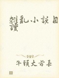 杂乱小说目录阅读