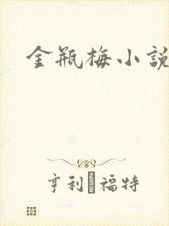 金瓶梅小说在线