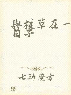 与校草在一起的日子