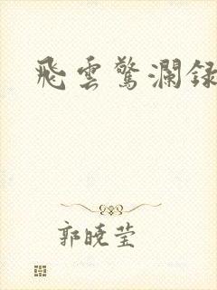 飞云惊澜录