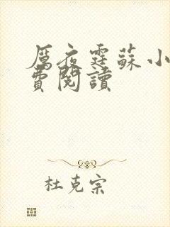 厉夜霆苏小汐免费阅读