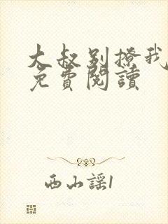 大叔别撩我小说免费阅读