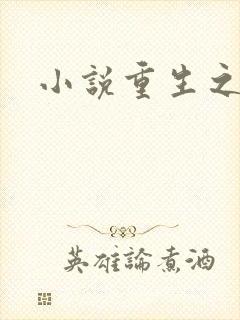 小说重生之官道