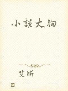 小说大胸