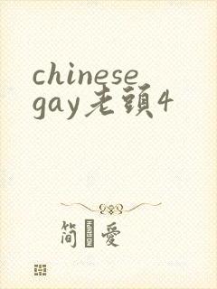 chinesegay老头4