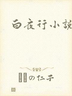 白夜行小说下载