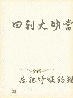 回到大明当才子