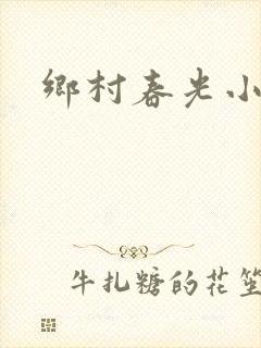 乡村春光小说