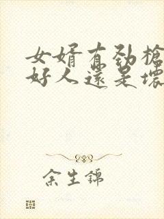 女婿有劲枪枪是好人还是坏人