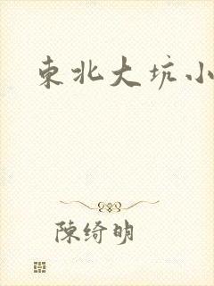 东北大坑小说