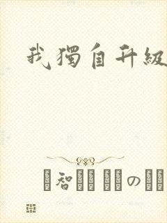 我独自升级小说