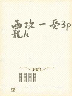 两攻一受3p双龙h