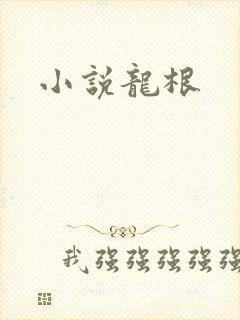 小说龙根