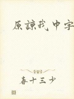 原谅我中字