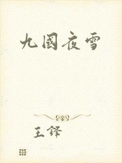 九国夜雪