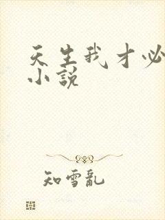 天生我才必有用小说