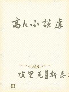高h小说虐