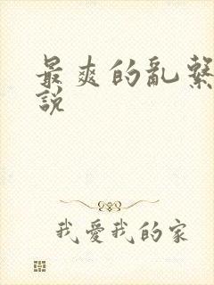 最爽的乱系列小说