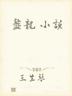 盘龙 小说
