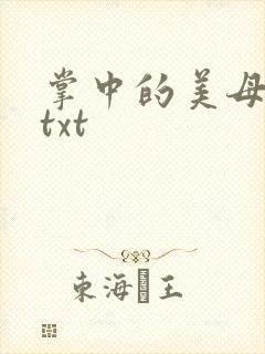 掌中的美母版主txt