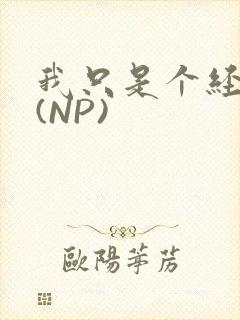 我只是个经纪人(NP)