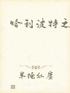 哈利波特之守护