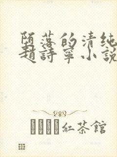 堕落的清纯校花赵诗宁小说阅读