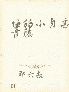 他的小月亮by青藤