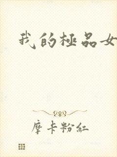 我的极品女老师