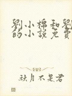 刘小棉和刘易文的小说免费阅读