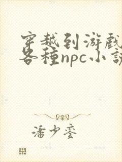 穿越到游戏里和各种npc小说