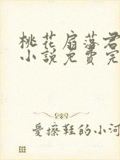 桃花扇落君不还小说免费完整版