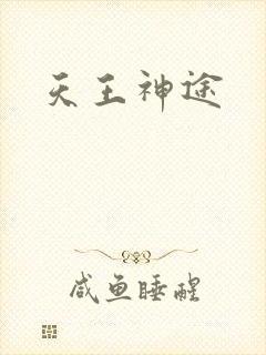 天王神途