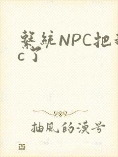 系统NPC把我c了