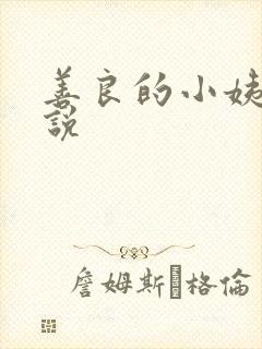善良的小姨子小说