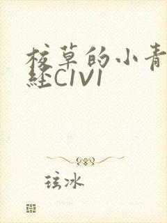 校草的小青梅不经C1V1