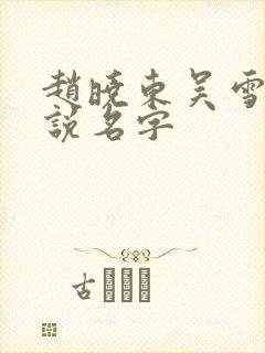 赵晓东吴雪晴小说名字